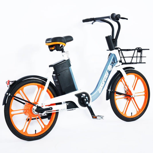 Chain Drive Electric Bike