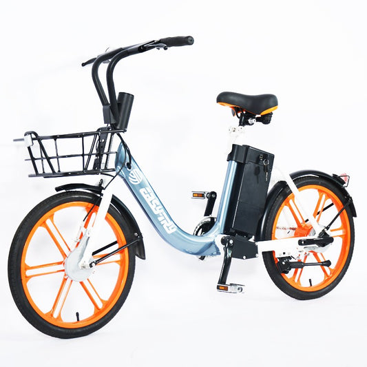 Chain Drive Electric Bike